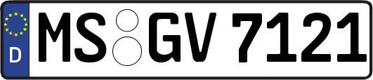 MS-GV7121
