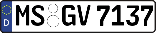 MS-GV7137