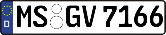 MS-GV7166