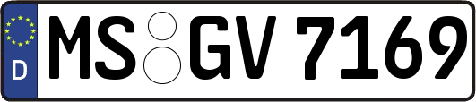 MS-GV7169