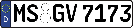 MS-GV7173