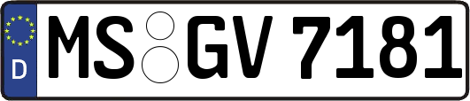 MS-GV7181