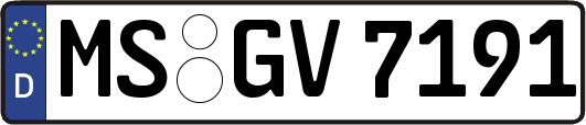 MS-GV7191