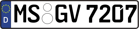 MS-GV7207