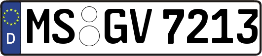 MS-GV7213