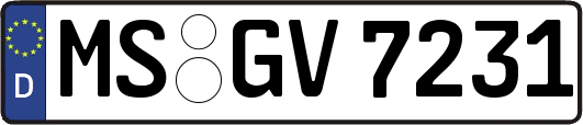 MS-GV7231