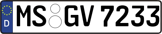 MS-GV7233