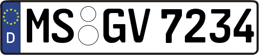 MS-GV7234