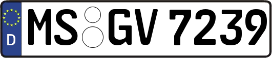 MS-GV7239