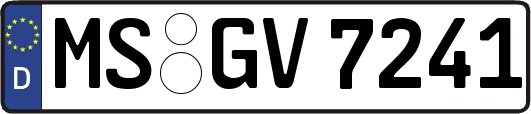 MS-GV7241