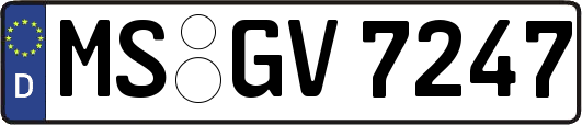 MS-GV7247