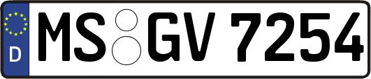 MS-GV7254
