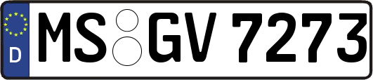 MS-GV7273