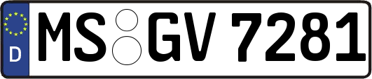 MS-GV7281