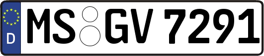 MS-GV7291