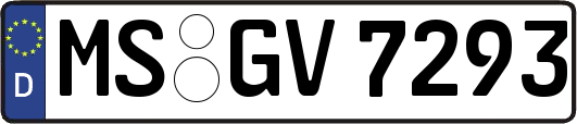 MS-GV7293
