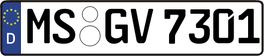 MS-GV7301