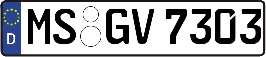 MS-GV7303