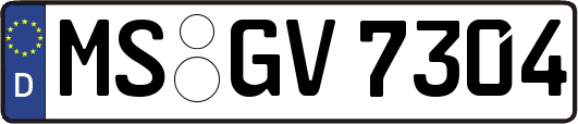 MS-GV7304