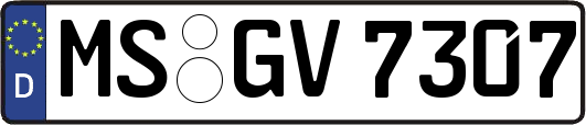 MS-GV7307