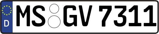 MS-GV7311