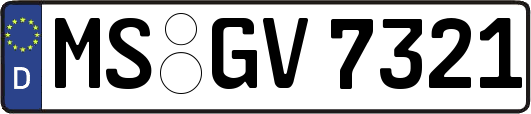 MS-GV7321