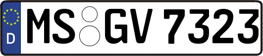 MS-GV7323