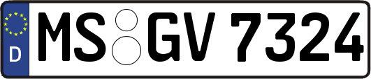 MS-GV7324