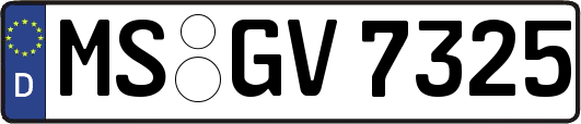 MS-GV7325