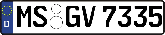 MS-GV7335