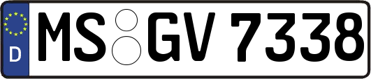 MS-GV7338