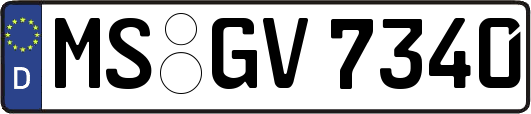 MS-GV7340