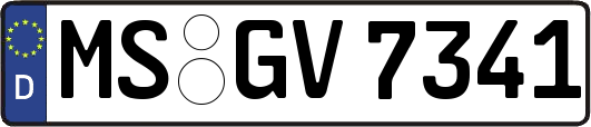 MS-GV7341