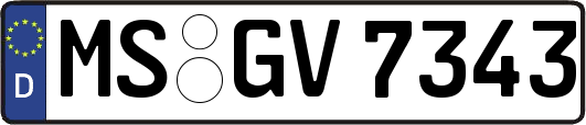 MS-GV7343