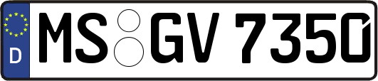 MS-GV7350