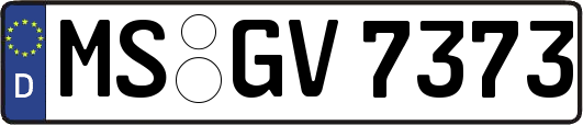 MS-GV7373