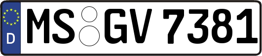 MS-GV7381