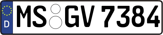 MS-GV7384