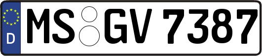 MS-GV7387