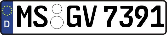 MS-GV7391