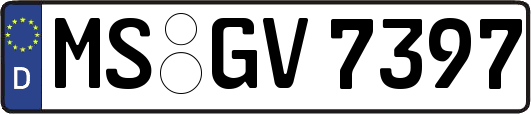 MS-GV7397