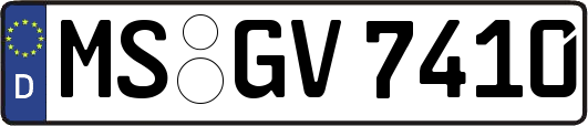 MS-GV7410