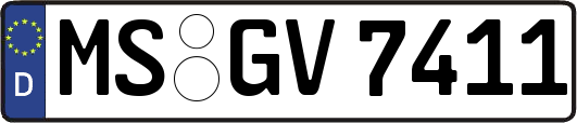 MS-GV7411