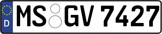 MS-GV7427