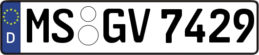 MS-GV7429