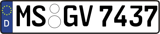MS-GV7437