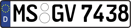 MS-GV7438