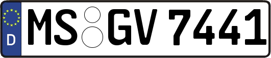 MS-GV7441