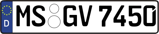 MS-GV7450