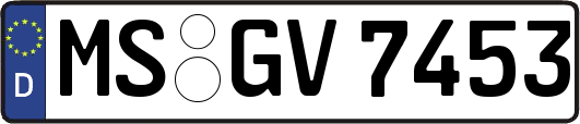 MS-GV7453